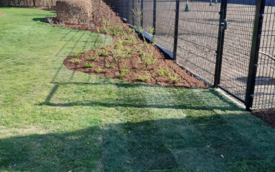 Gazonrenovatie in het najaar: de beste investering voor je tuin.